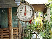 Foto 099